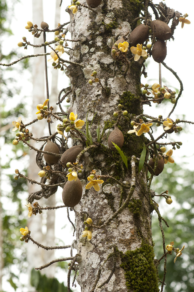 31972276531 3b8fd9c484 b