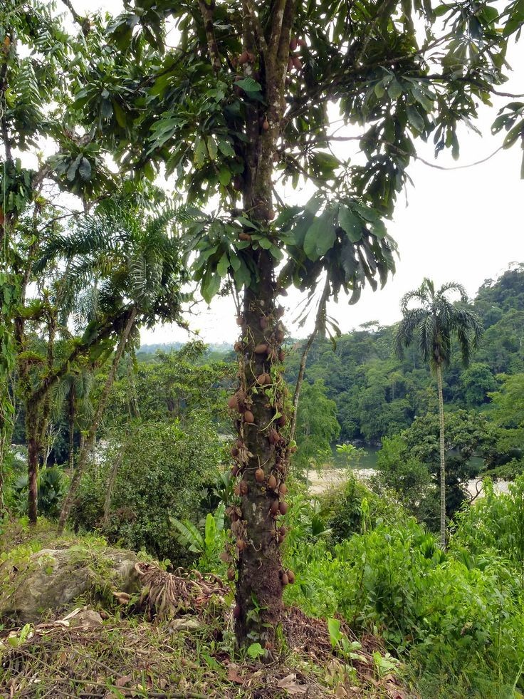 81951c8c f36f 4e87 a49a 281b25cc6be2