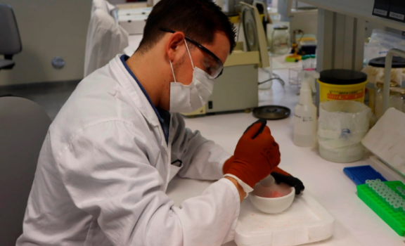 diseno sin titulo 1 1 576x350