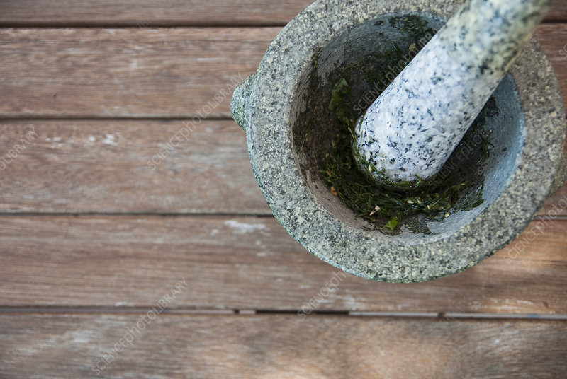 herbs being ground in pestle and mortar