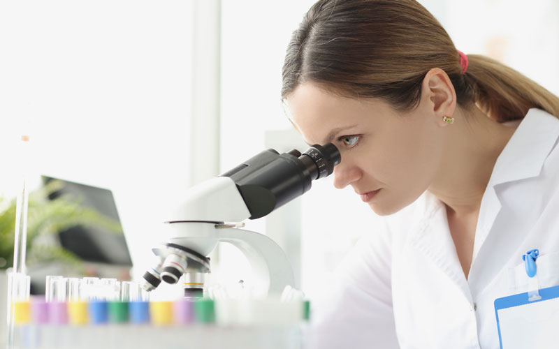 expertos investigacion fuden