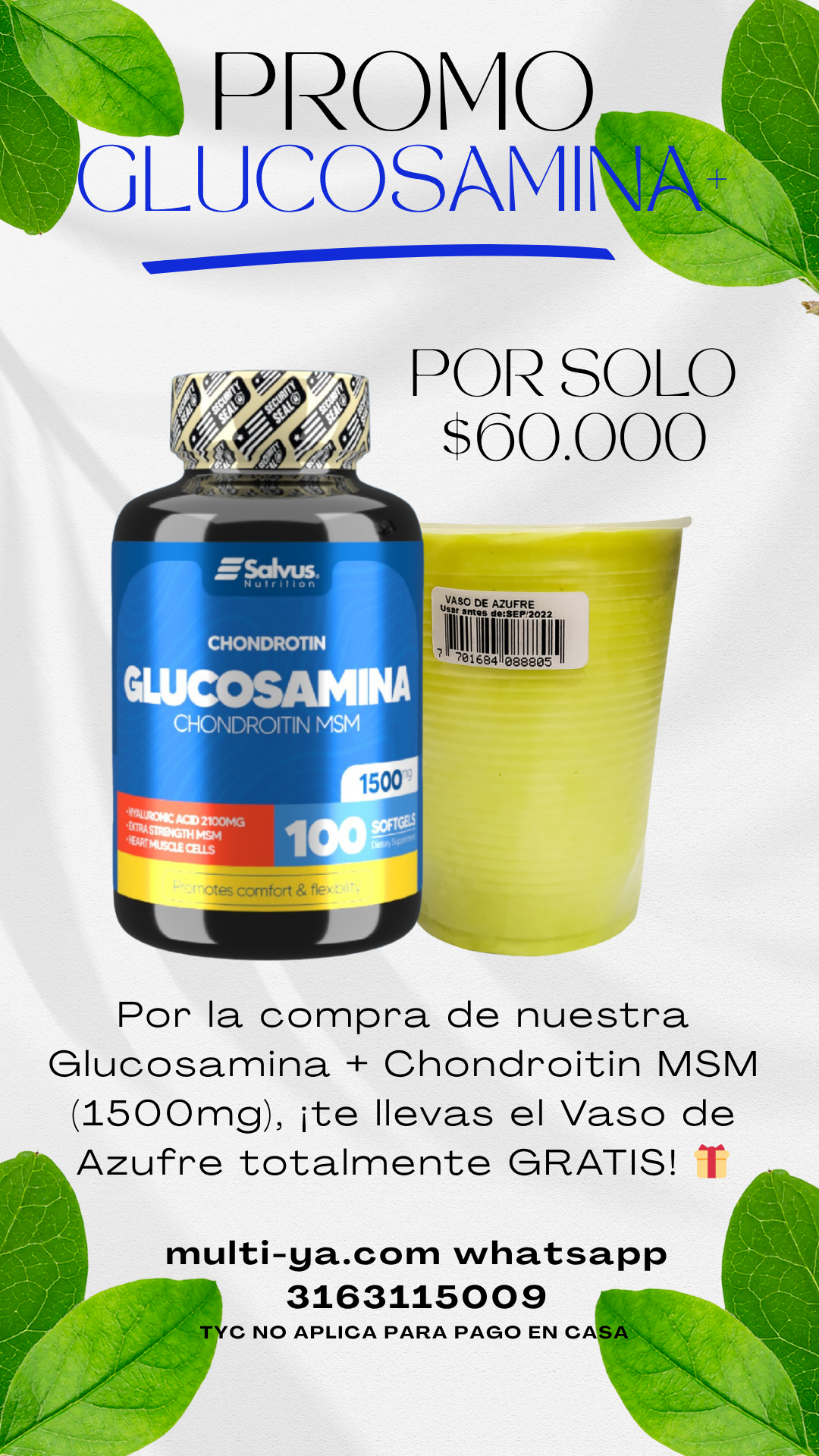💰 oferta imperdible 🔥por solo: $60.000 cop (glucosamina + vaso de azufre de regalo) 💰 oferta imperdible 🔥por solo: $60.000 cop (glucosamina + vaso de azufre de regalo)