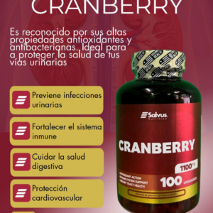 diseño sin título (14)