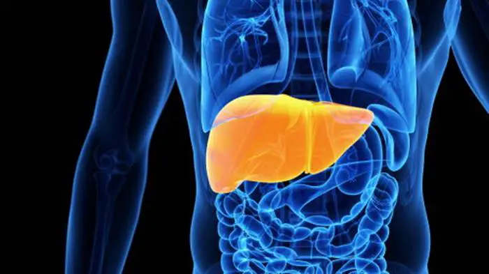 Blog hepatosar proteccion higado